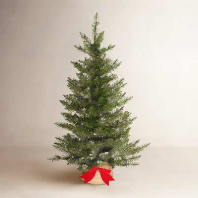 36' Lighted Artificial Fir Christmas Tree