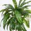 Artificial Foliage Plant in Pot Liner-124076062