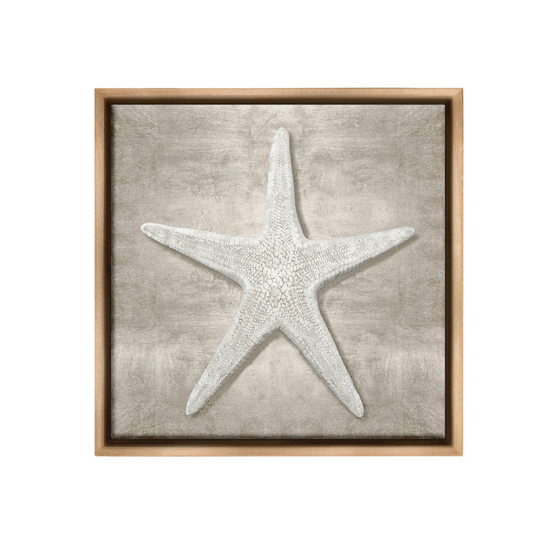 «Rustic Gray Starfish Floater Frame» par Amber Sterling sur toile, H 18 po x l 18 po, Cadre flottant orme Montalcino