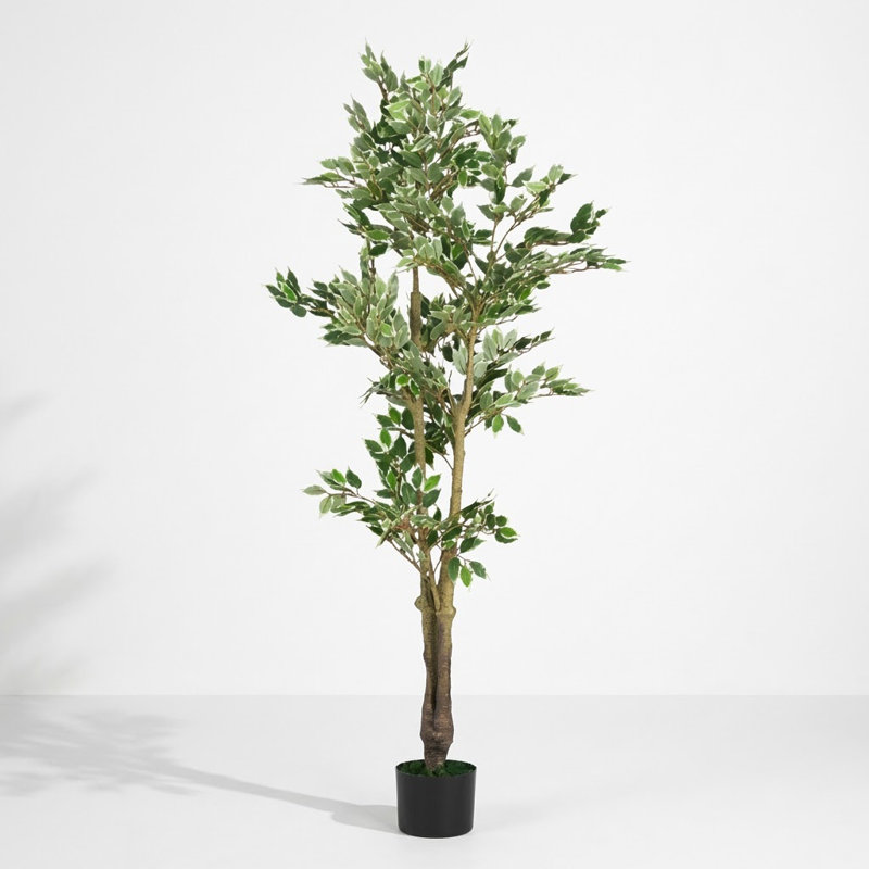 Grand ficus artificiel avec pot en plastique