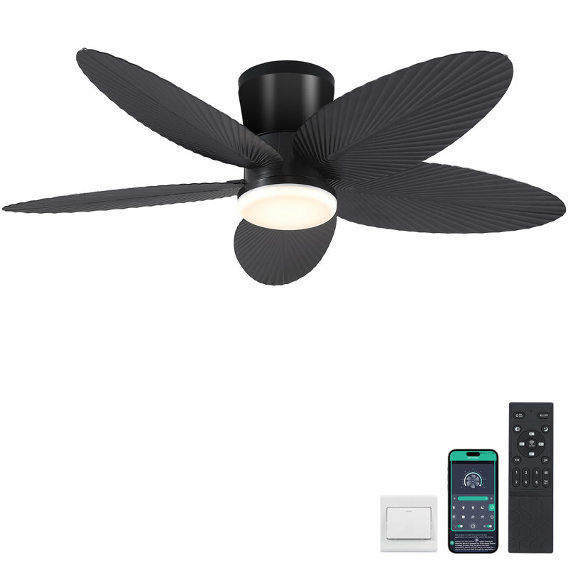 42" 5-blade Flush Mount Ceiling Fan With Light, Black
