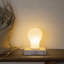 Squish Table Light