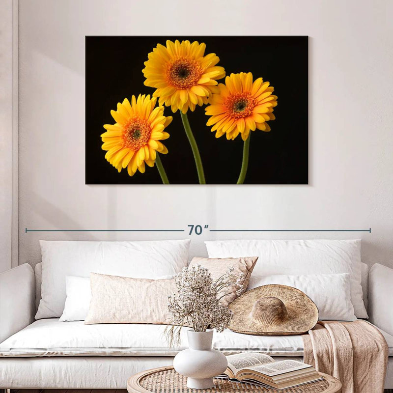 Trois marguerites Harnek sur fond sombre, H 30 po x l 45 po