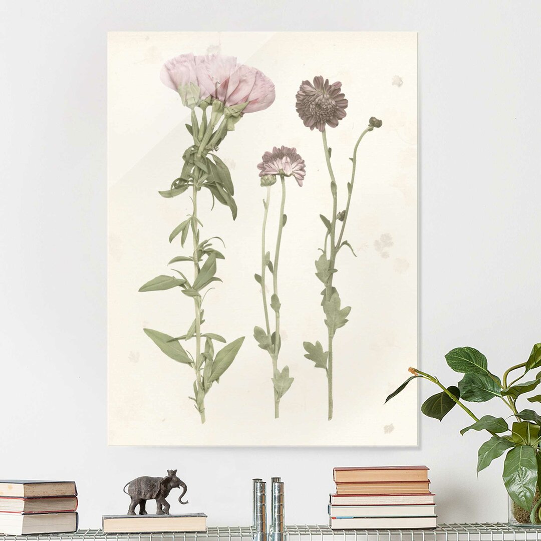 Glasbild Herbarium in Pink III