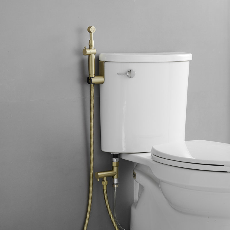 Hand Held Bidet, Brushed Gold