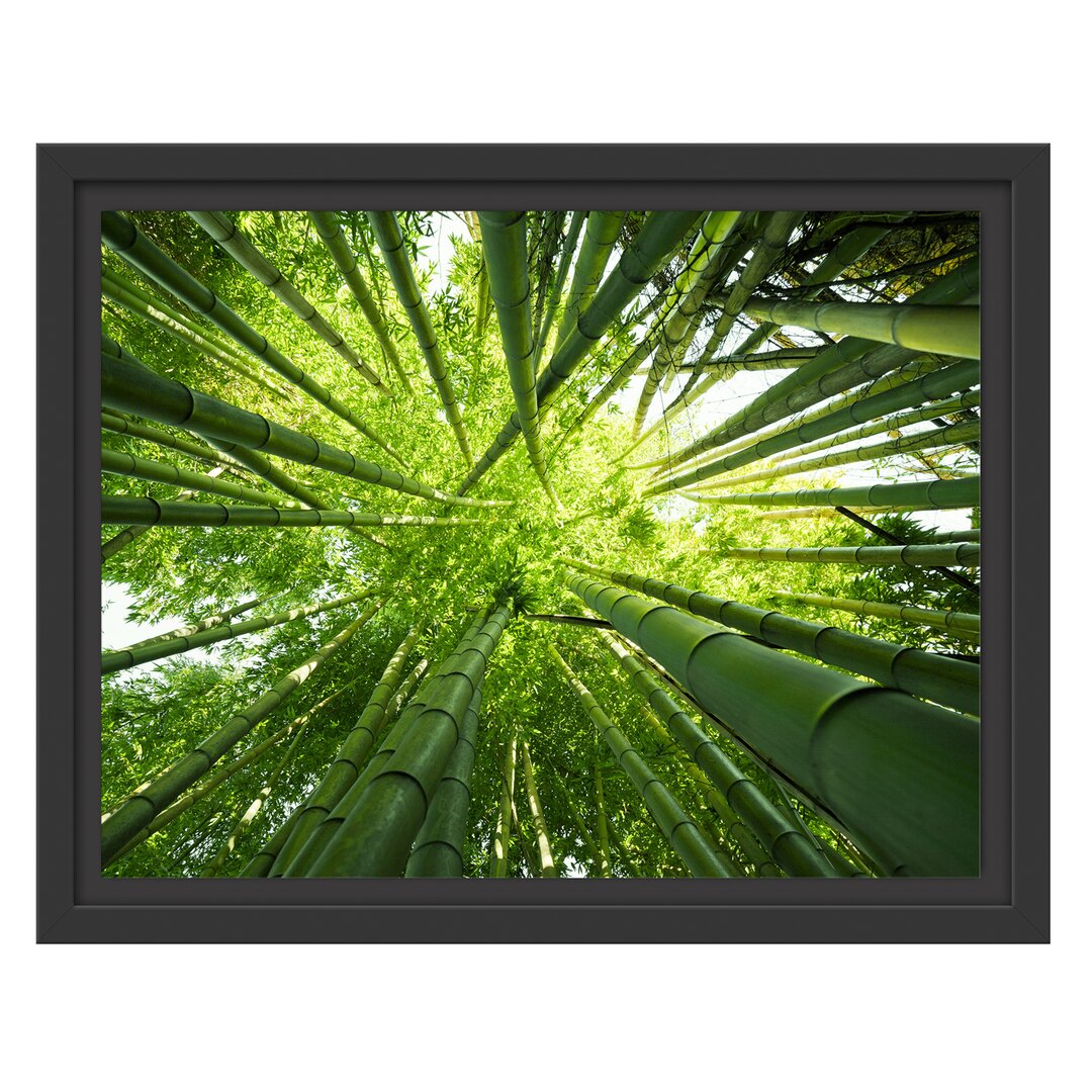 Gerahmter Fotodruck Green Bamboo