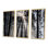 Rayons de soleil à travers la forêt blanche noire - ensemble d'art mural sur toile encadré forêt