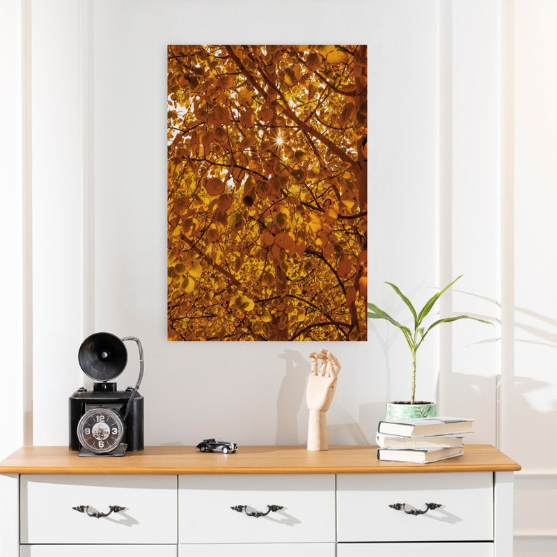 Guanella Pass Sunburst Abstract Contemporary Art, H 24 po x l 16 po