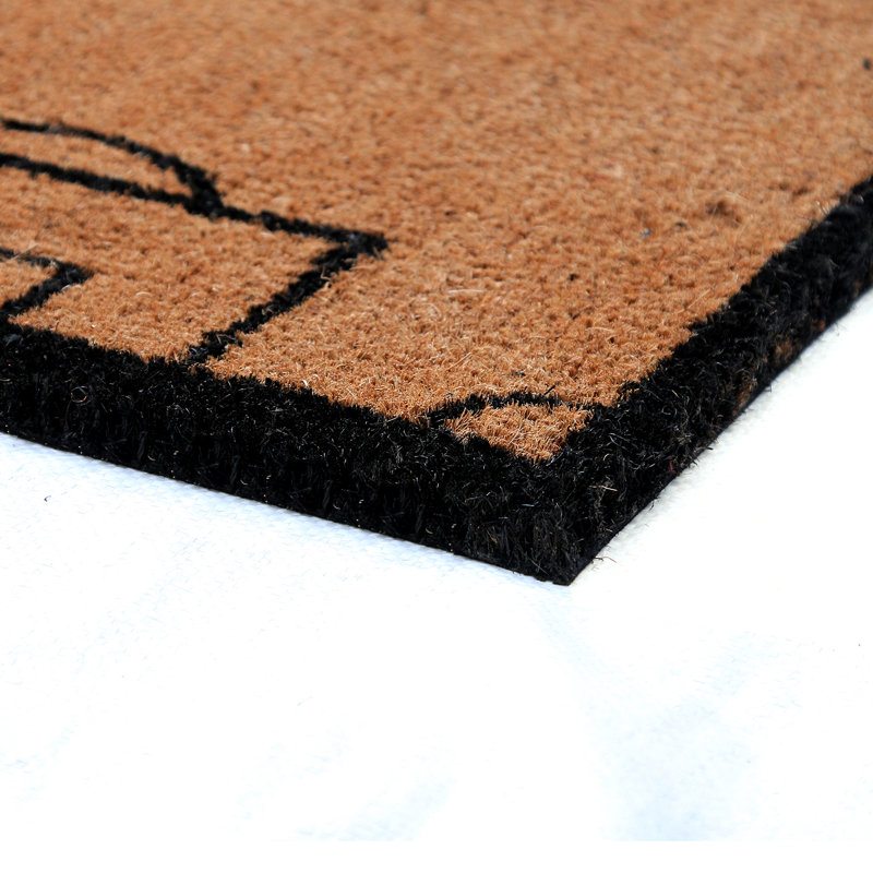 Non-Slip Indoor Doormat