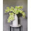 Orchidée Phalaenopsis verte 33 po-714383210-714383211