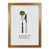 Honey Oak Frame selected