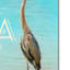 «Life is Better by the Sea» par Vidur, impression sur toile tendue-22076889