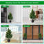 70cm Tree