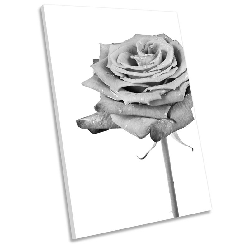 X0277 Rose Mono Floral Flower - Wrapped Canvas Print, 54cm H x 36cm W x 4cm D