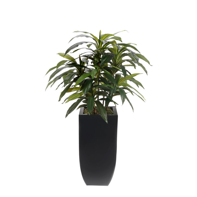 4'H Artifical Dracaena Plant In Black Tin Planter