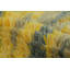 One-of-a-Kind 2’6x5’ Hand Knotted Area Rug