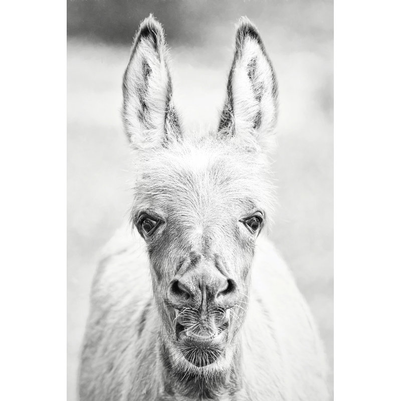 «Donkey Portrait IV» par Phburchett - Photographie sur toile tendue, H 48 po x l 32 po