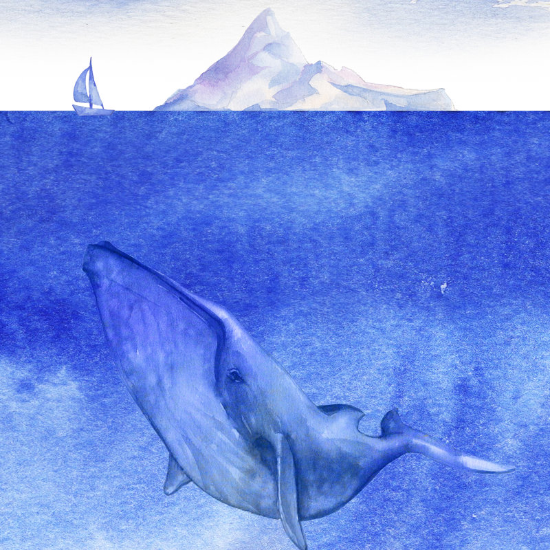 Murale baleine Guion dans l'océan, H 108 po x l 192 po