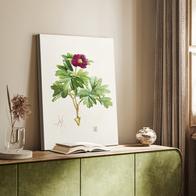 Pretty Pink Botanicals III - Gallery Cavas, H 18 po x l 12 po