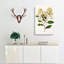 Kumarahou Flowers by Sarah Featon - Wrapped Canvas Painting-55304255