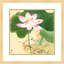 Lotus in Summer - 2 Piece Single Picture Frame Print Set