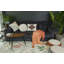 Plants Lumbar Pillow Cover & Insert