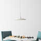 Ricky Single Light Metal Dimmable LED Pendant