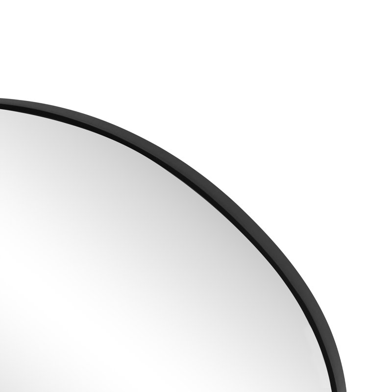 Aurelia 24 in. W x 36 in. H Medium Irregular Asymmetrical Oval Metal Framed Wall Mounted Bathroom Vanity Mirror, Black, Black