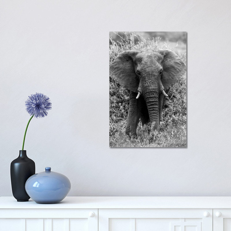 Elephant In The Bush by Anders Jorulf - Wrapped Canvas Print, 30.48 cm H x 45.72 cm W