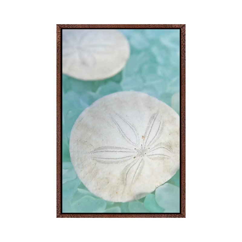 'Seaglass 3' by Alan Blaustein Graphic Art Print on Wrapped Canvas, Brown Floater Framed, 101.6 cm H x 66.04 cm W
