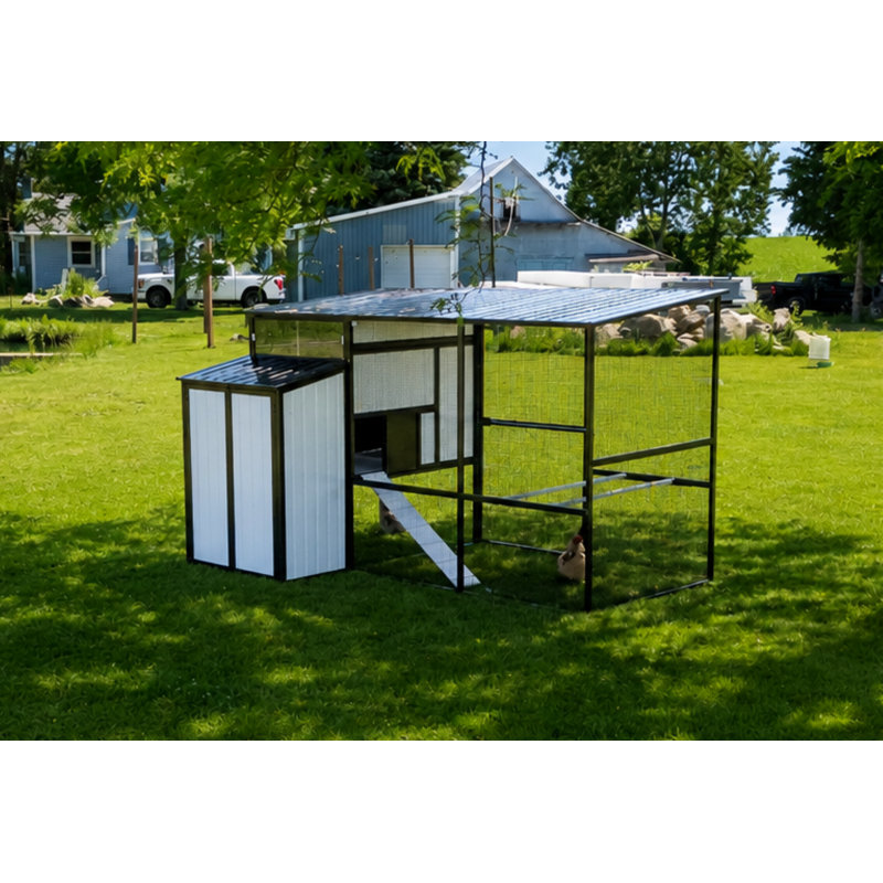 Grand poulailler Modern Ultraguard