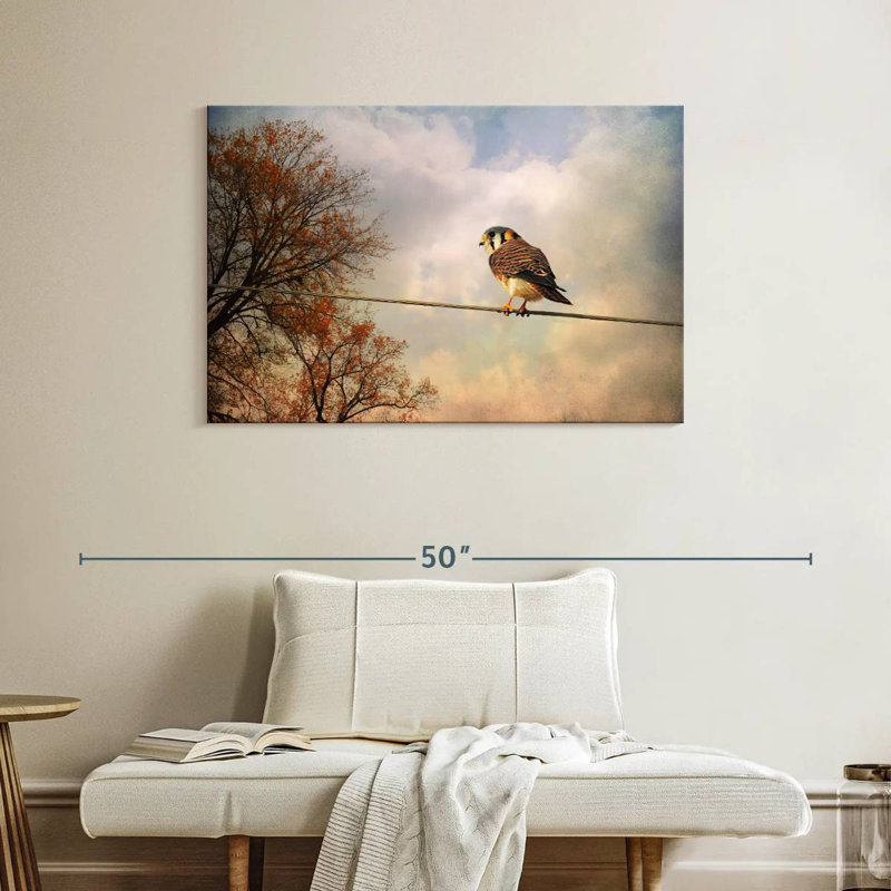 Brampt American Kestrel In Autumn, 26" H x 39" W