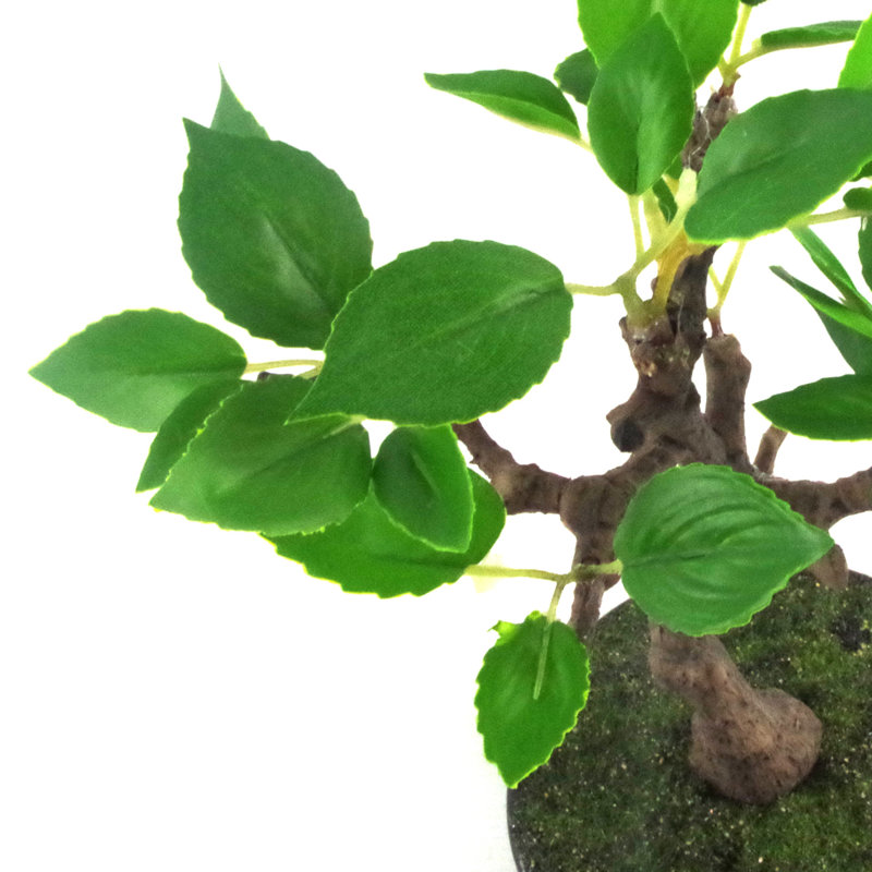 Anivea 25cm Faux Bonsai Tree in Ceramic Pot