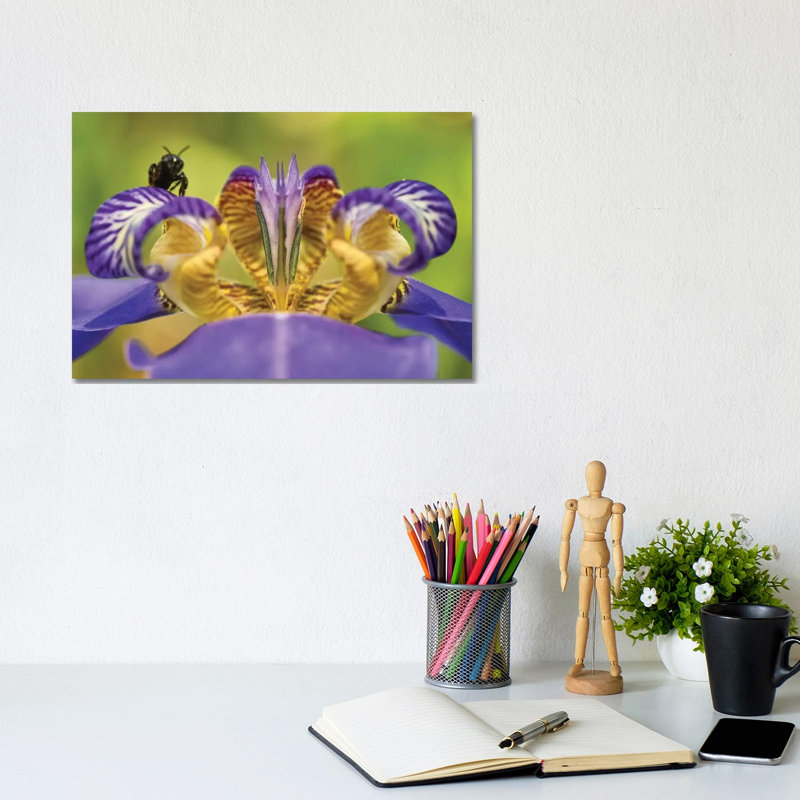 Bee on Purple Flower 1 Piece Wrapped Canvas Wall Art, 20.32 cm H x 30.48 cm W