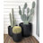 Dorlis Handmade Pot Planter-1541359034-1541359038