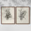 «Vintage Floral LXIX», impression giclée sur cadre - ensemble de 2-834418179-834418176