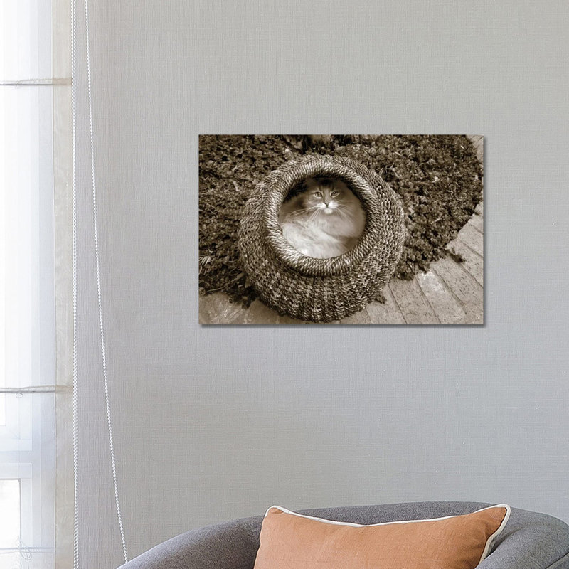 Cat In A Basket by Jim Dratfield - Wrapped Canvas Print, 45.72cm H x 66.04cm W x 1.905cm D