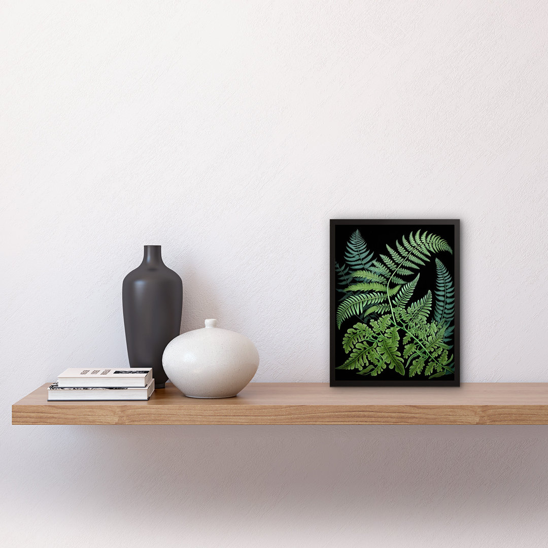 Fern Fronds Ernst Haeckel Style Dark - Single Picture Frame Print