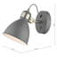 Azalea Spotlight-58964987