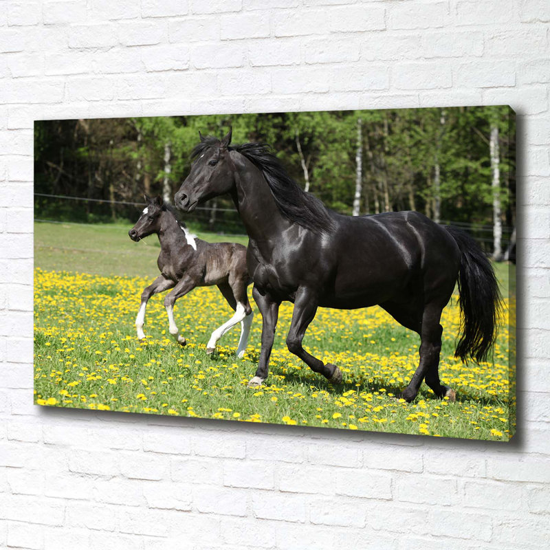 Mare With Foal - Wrapped Canvas Print