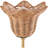 Fuori Wall Sconce