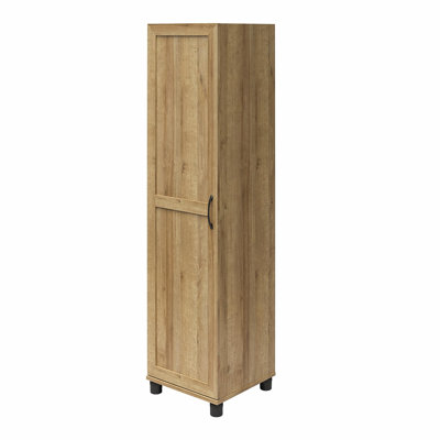 Aleg 62.47'' Tall 1 - Door Framed Storage Cabinet