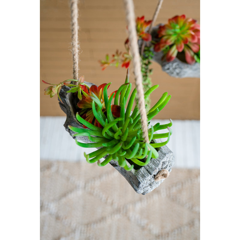 Pot à fleurs suspendu en ciment Antoniya, H 9,4 po x l 4,3 po x P 4,3 po