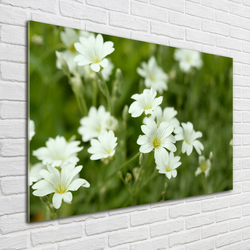 Spring Flowers - No Frame Print on Glass