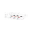 Acrylic Decorative Tray