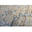 TRÉVI 13251-810 Beige / crème-112882986