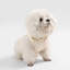 Harnais pour animal de compagnie Arlo-112400894