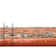 Hylan Oriental Indoor Rug