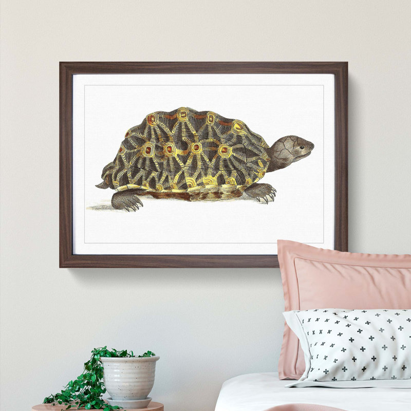 Tortoise by George Shaw - Picture Frame Painting Print on MDF, 27cm H x 36cm W x 2cm D, Walnut Framed