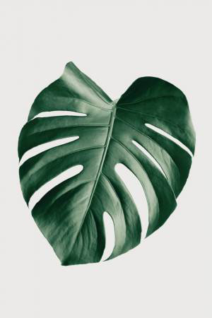 Wrapped Canvas Print, 76.2cm H x 50.8cm W
